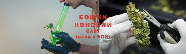 мет Лагань