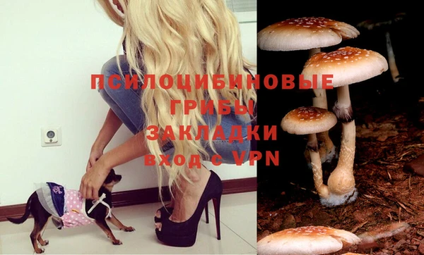 кристаллы Алексин